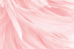 Розовые перья 5-234