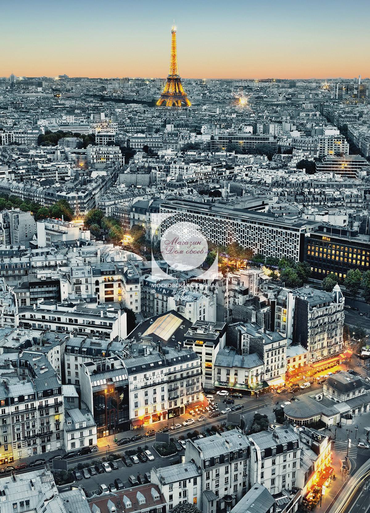 Paris Aerial View 00434