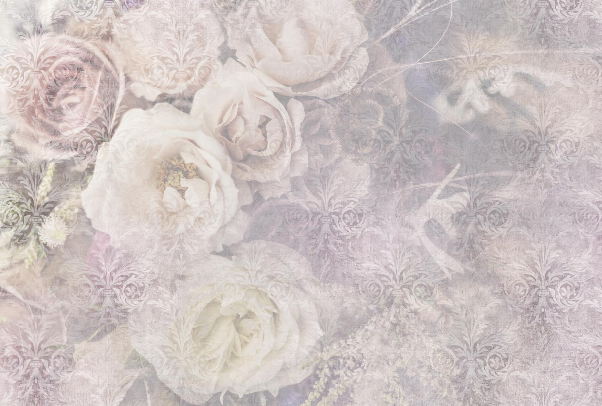 Обои на телефон, белые розы, эстетика роз, нежные розы, розы на тёмном фоне, красивые цветы