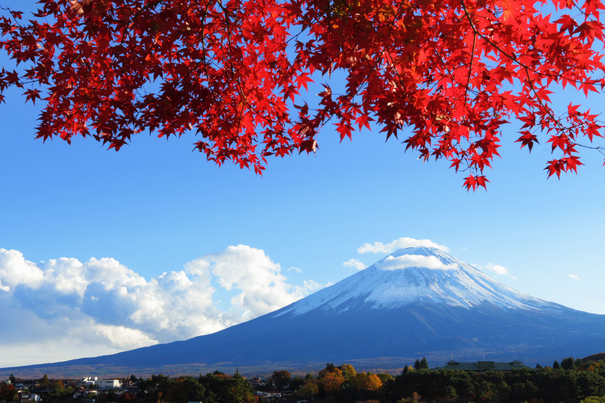 Гора Фудзияма 10-253