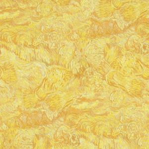 Van Gogh 17170