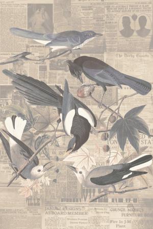 Bird paper 24-324