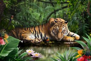 Tiger color 3236-ML
