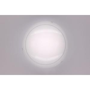Настенно-потолочный светильник 917 CL917081