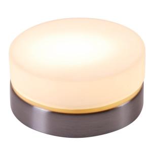 Потолочный светильник Opal 48400